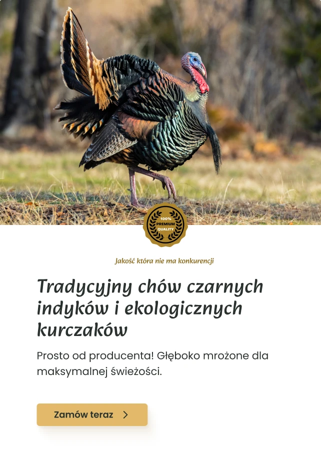 Tradycyjny chów